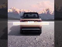 All Electric Pickup Truck Cars Radar RD6 EV 460km 560km