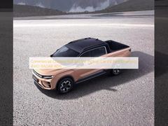 Commercial Chinese Full Electric Pickup Car EV Fast Charging 4WD RADAR RD6